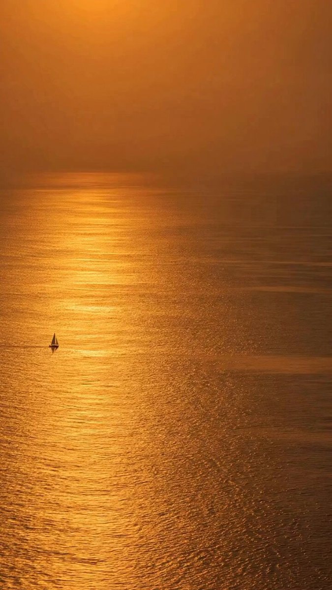 sailboat on water