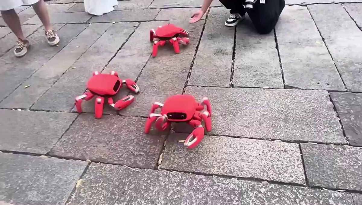 Chinese open-source crab robot
