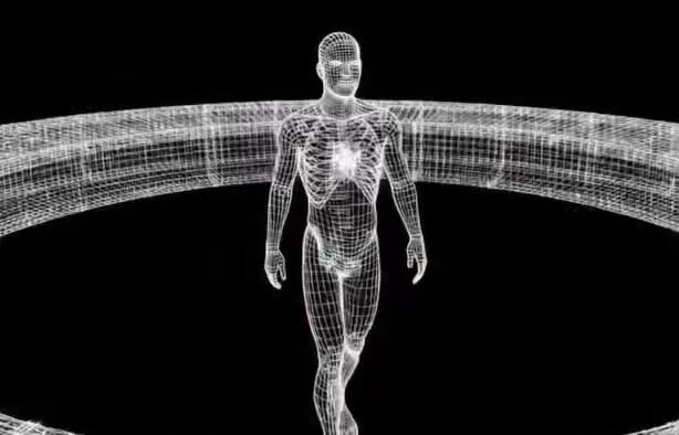 wireframe human body model