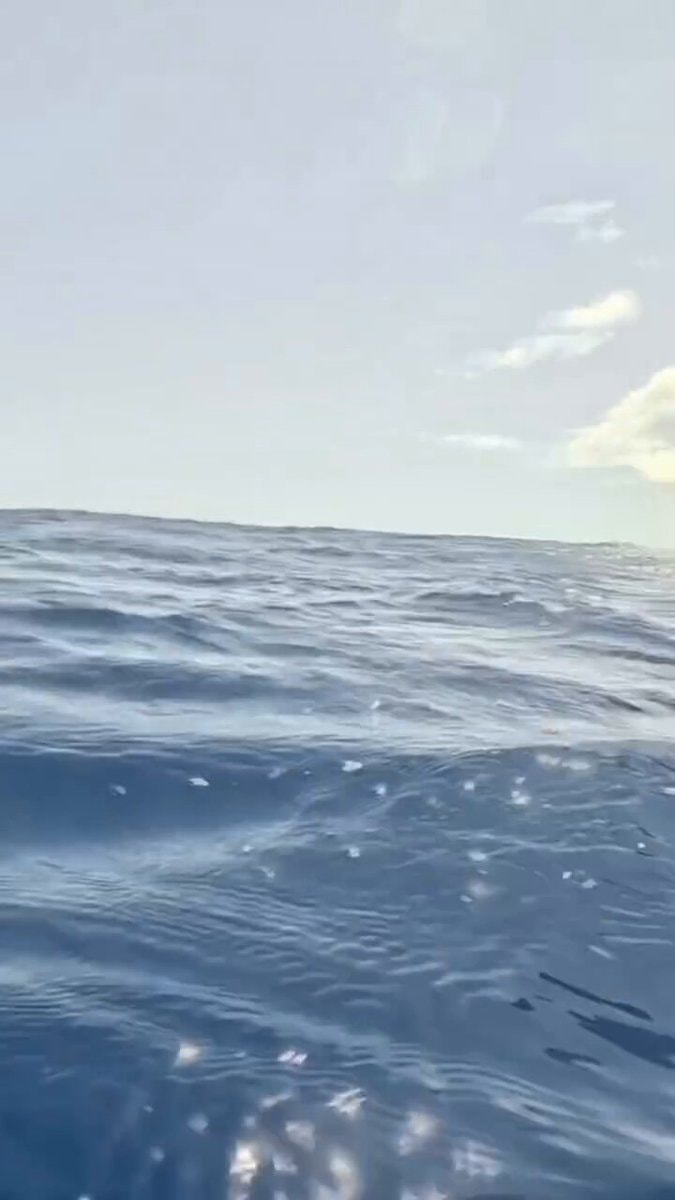 Humpback whale breach encounter ๐