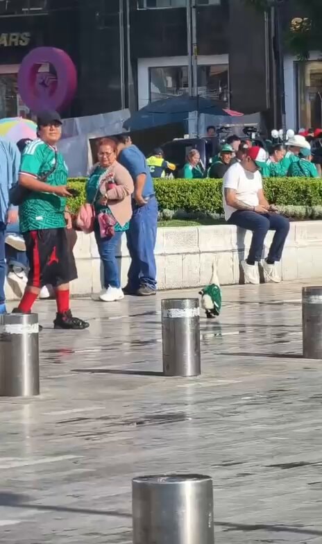 Mexico duck in World Cup jersey