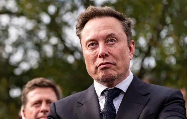 Elon Musk on the Great Replacement