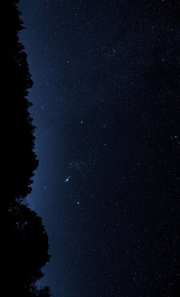 beautiful starry night