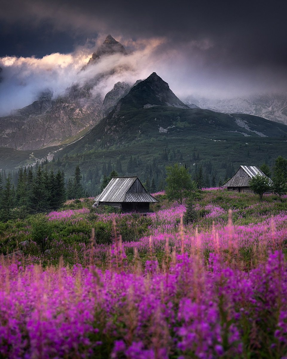 Tatry Mountain Poland (photo 2 of 4)