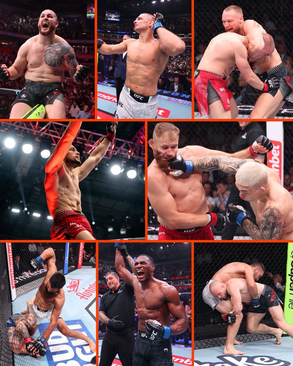 UFC Belgrade record finishes