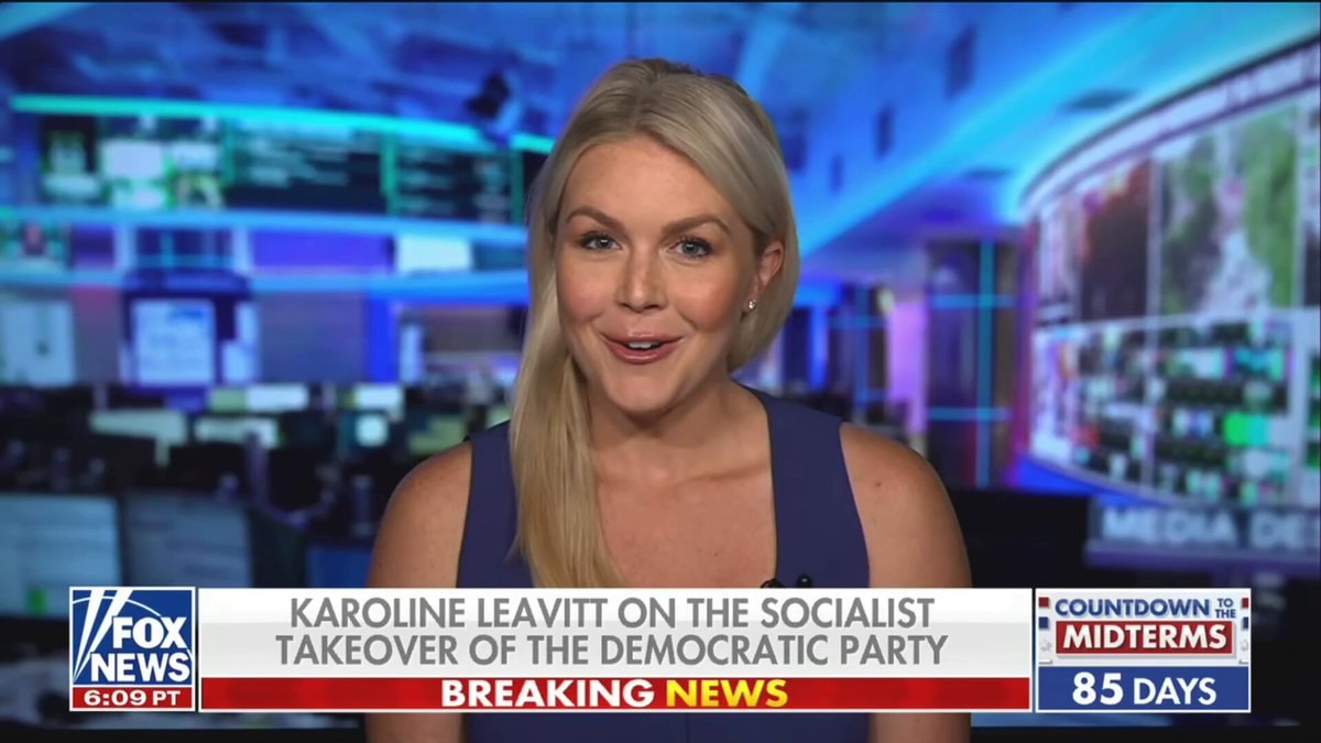 Karoline Leavitt on socialist takeover of Democratic Party