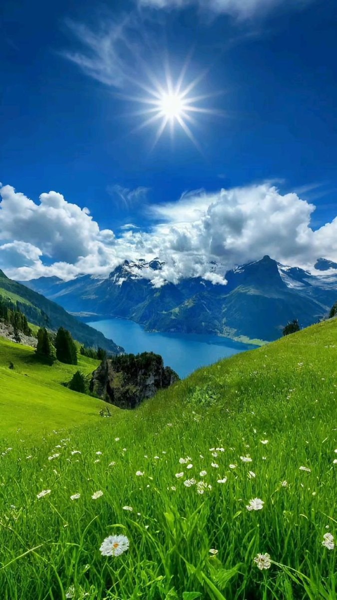 Mountain lake meadow Mountain lake meadow