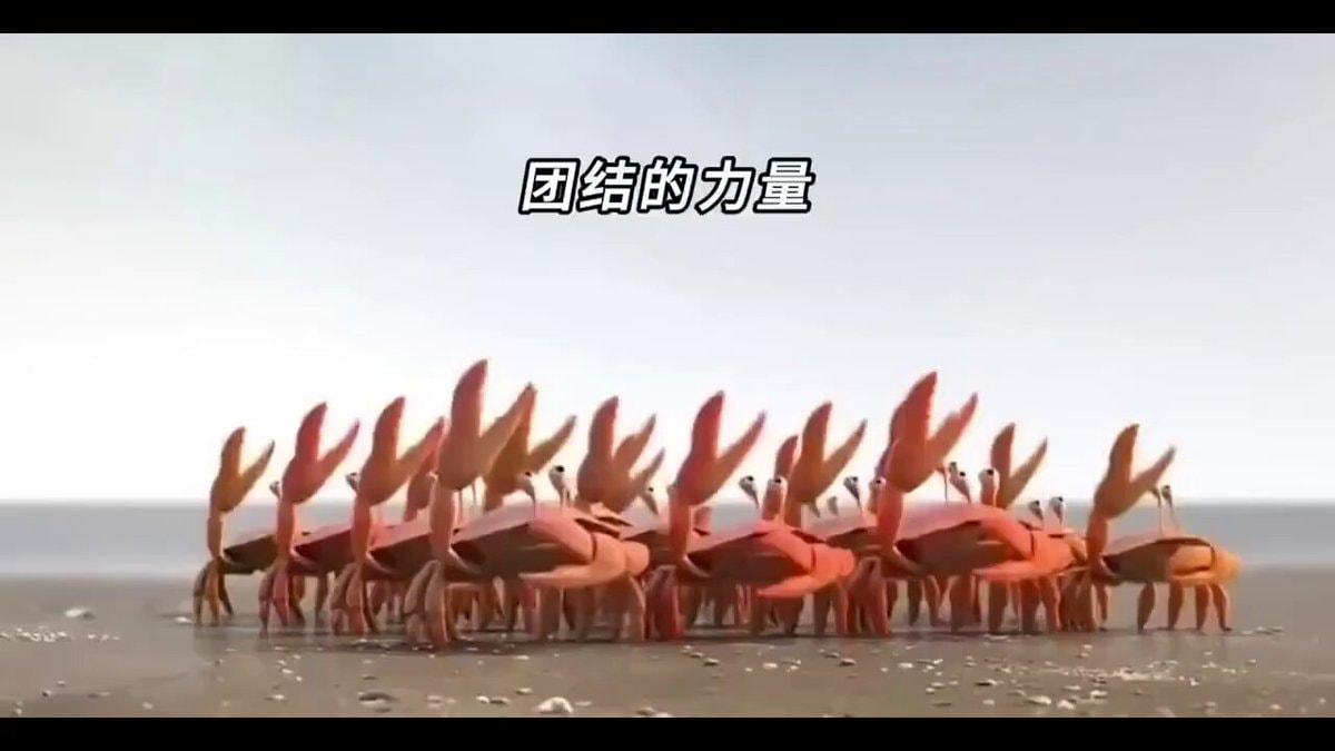 animated crabs on beach animated crabs on beach
