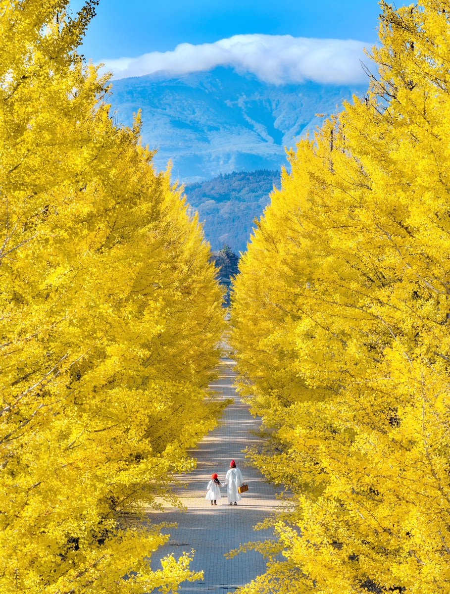 fall in japan (photo 3 of 4)
