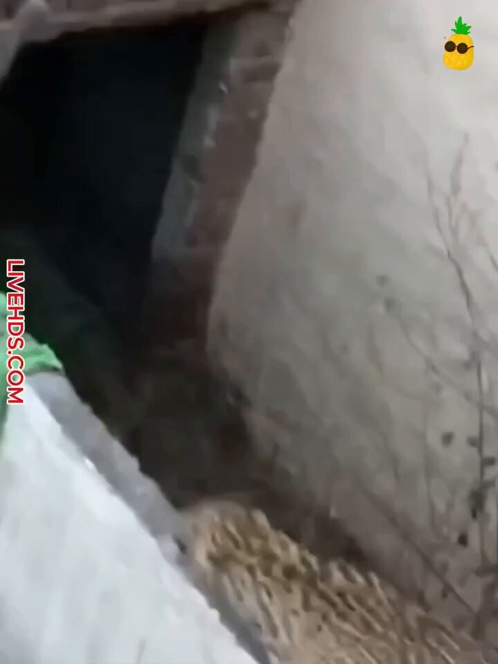 funny moments caught on camera