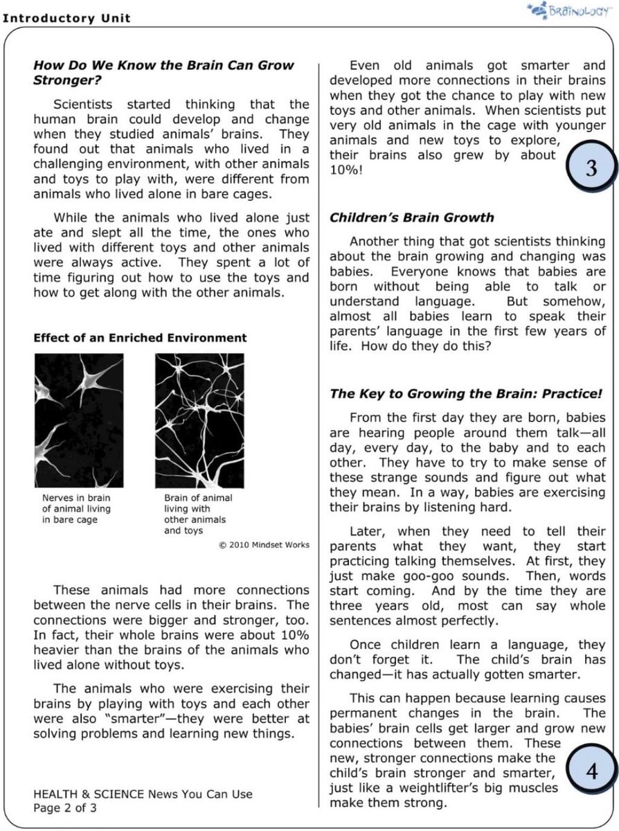 neuroplasticity brain education (photo 2 of 3)