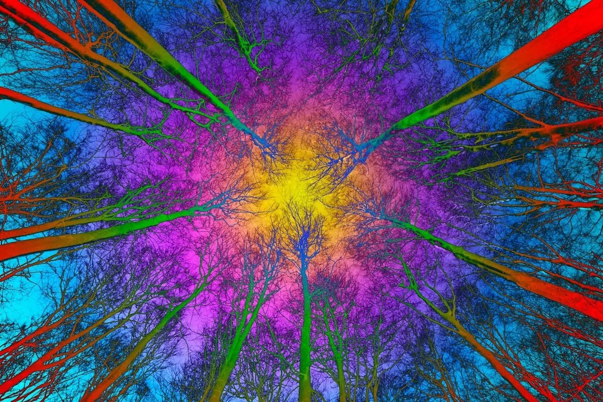 trillions of non-human conscious beings trillions of non-human conscious beings