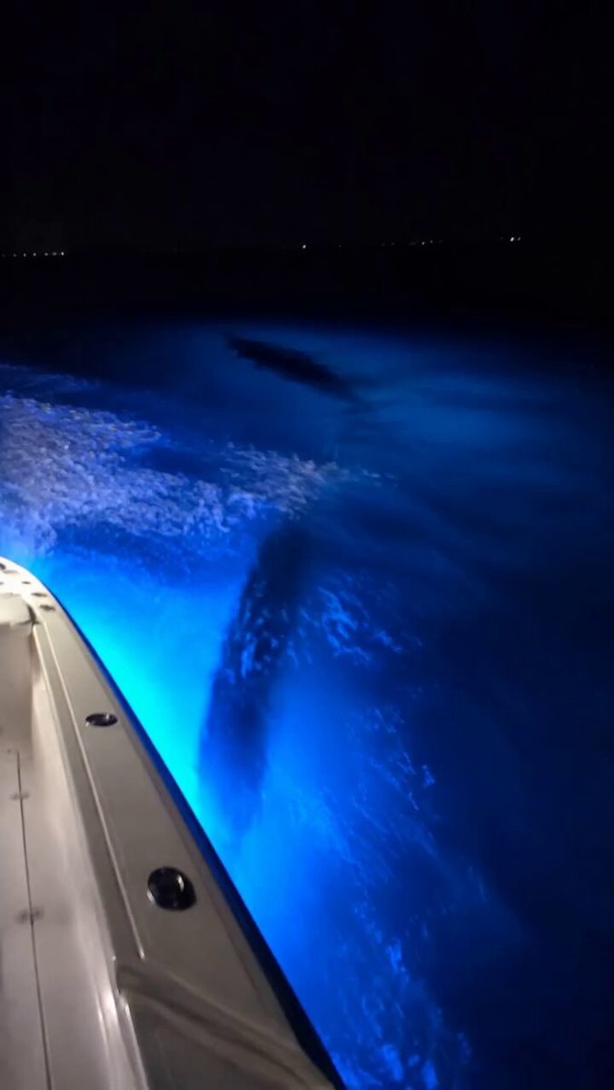 mysterious ocean lights at night