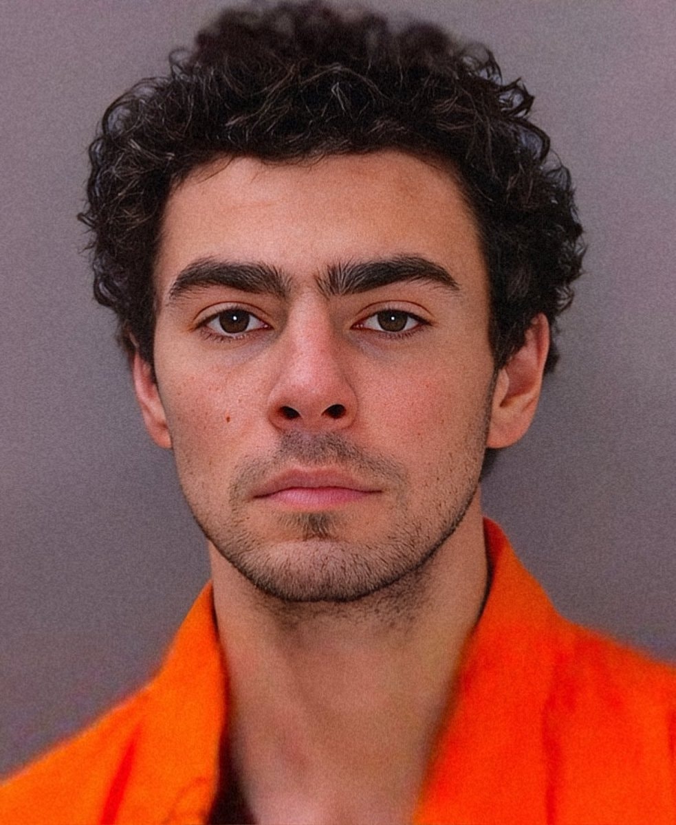 Luigi Mangione guilty plea