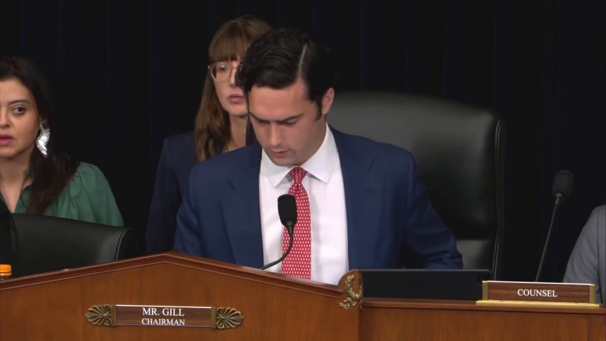Brandon Gill questions witness