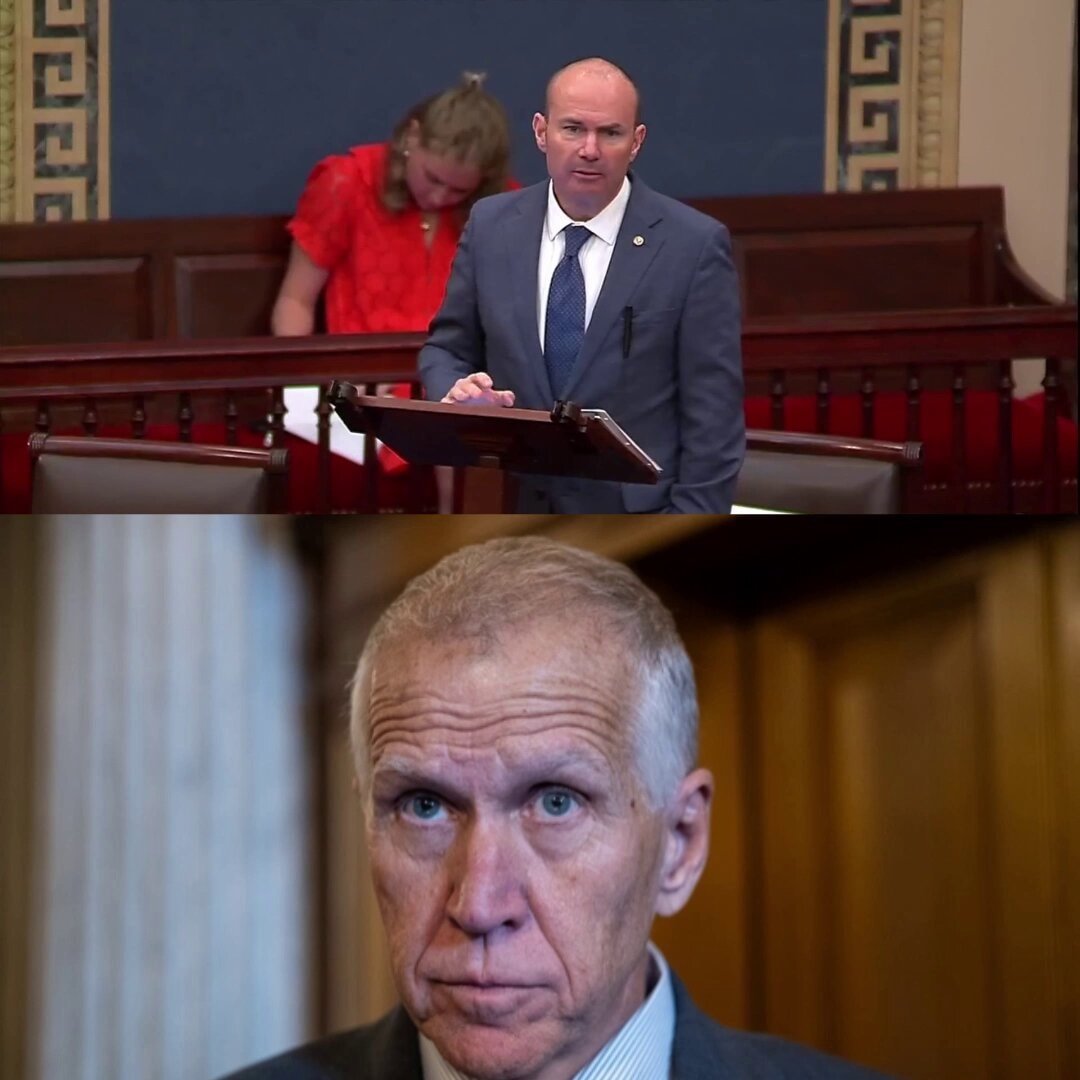 Mike Lee slams Thom Tillis on SAVE America Act