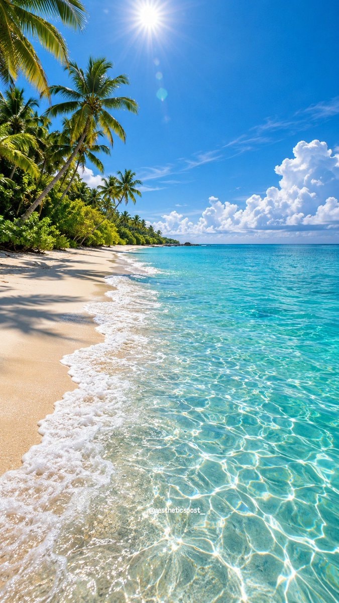 tropical beach scene