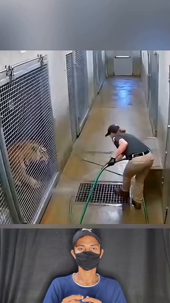 Unexpected Moments Caught In Camera