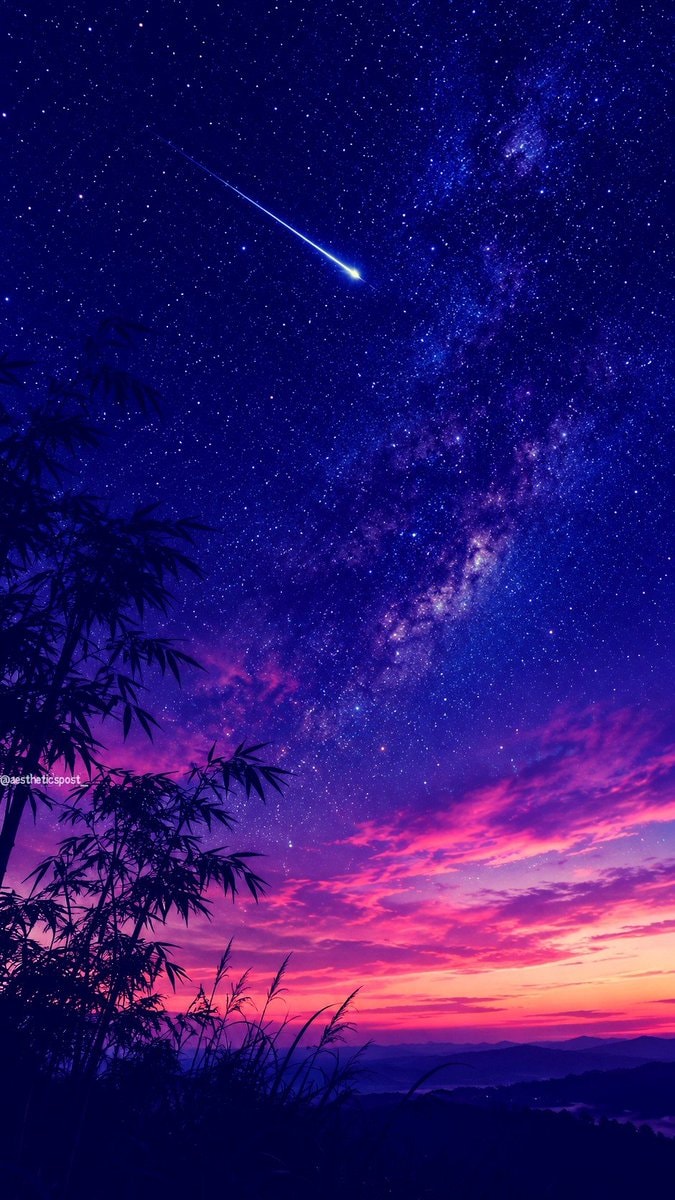 shooting star over bamboo silhouette