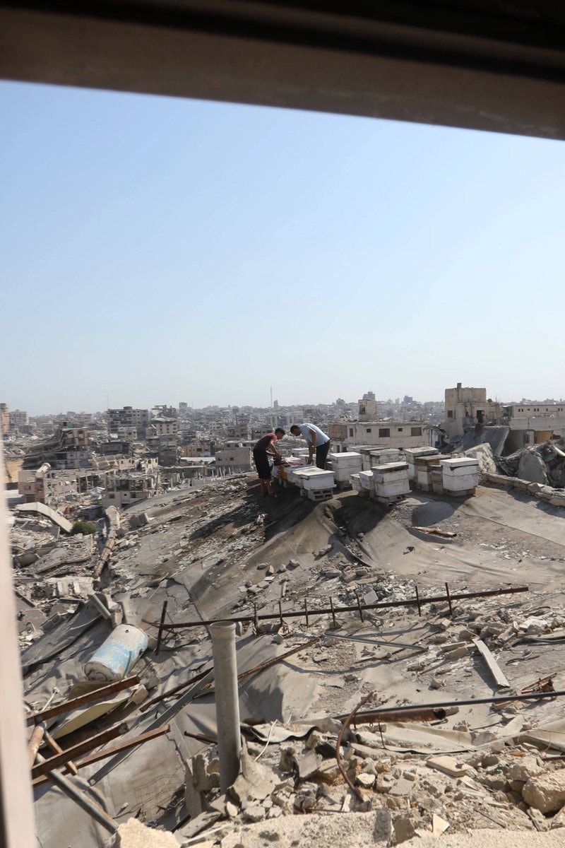Hamas ceasefire disarmament stance (photo 2 of 2)