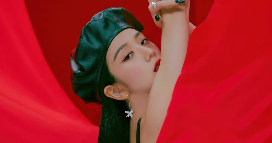 Photos of JISOO and BTS in music videos