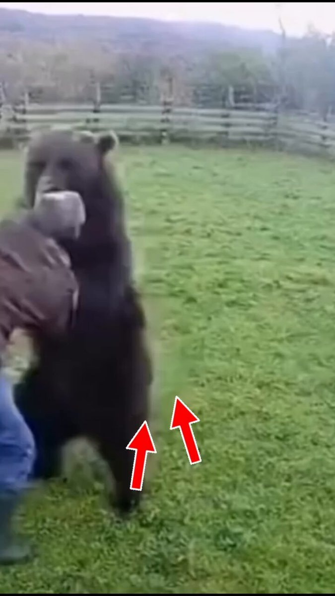 Astonishing Animal Moments Caught on Camera