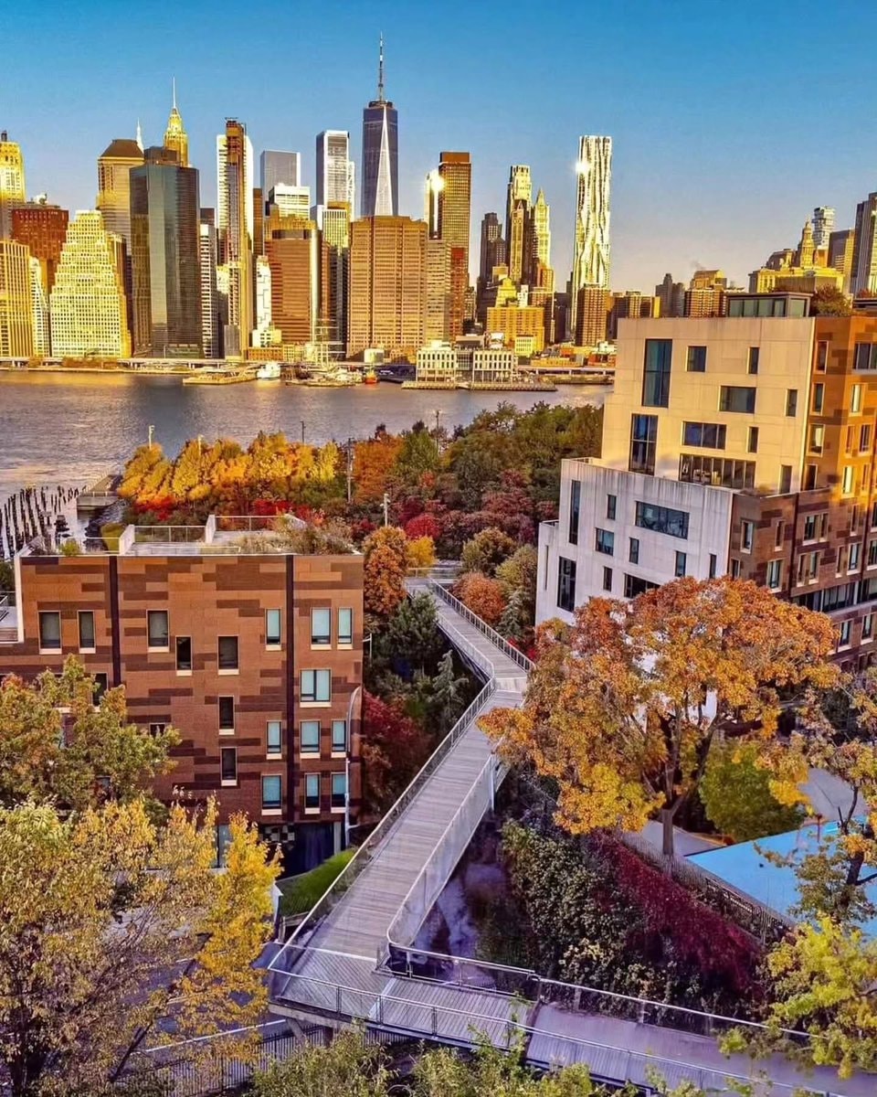 Autumn in New York (photo 4 of 4)