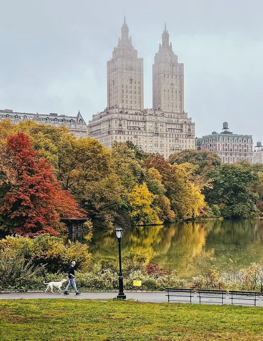 central park new york