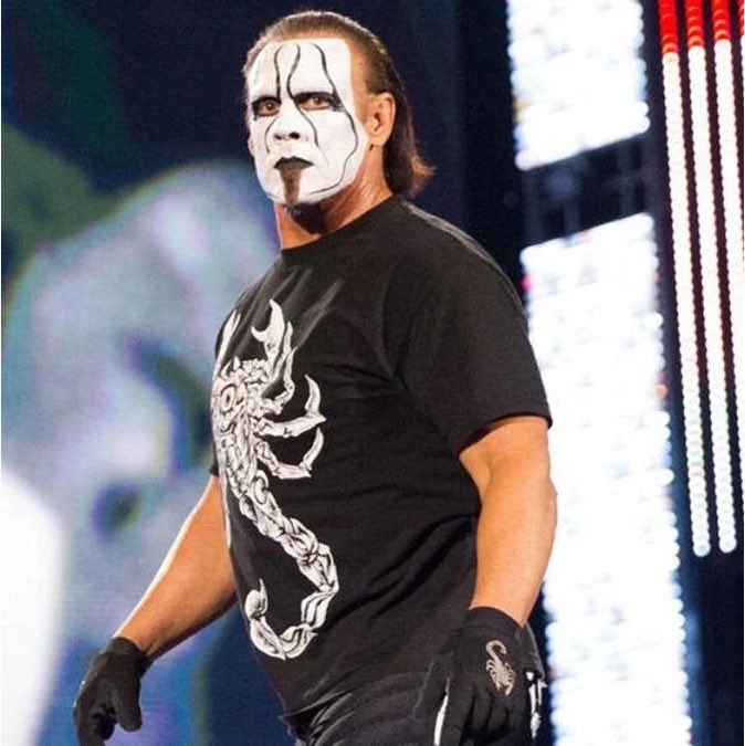 The Undertaker Sting WrestleMania miss (photo 2 of 2)