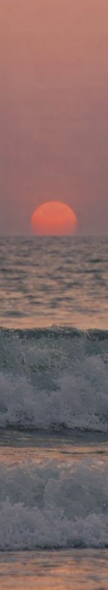 sunset sailboat silhouette (photo 3 of 4)