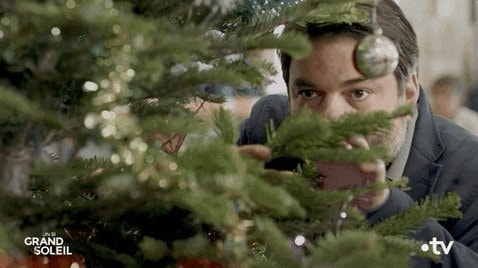 Spurs man decorating tree