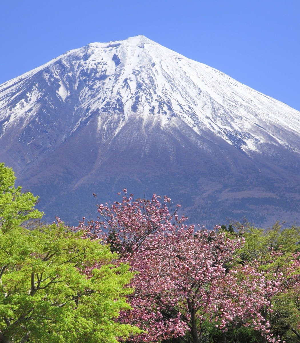 Mount Fuji climb incident (photo 1 of 2)