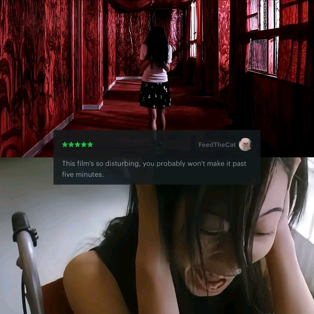 Strange Circus 2005 horror review