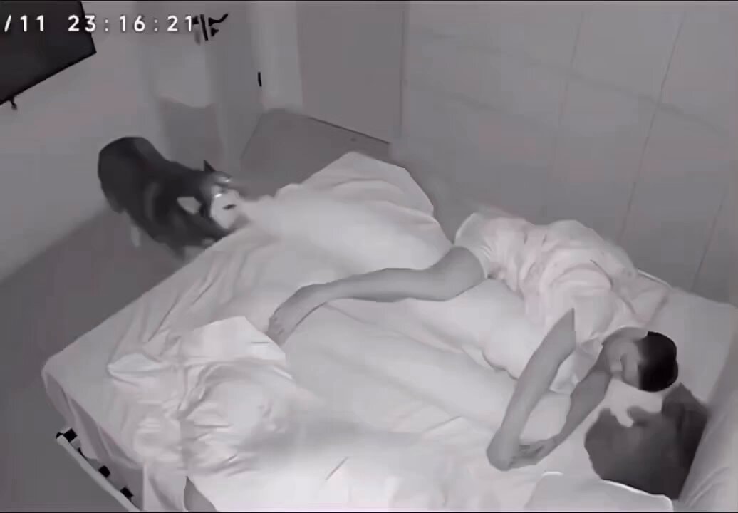tiny puppy fits perfectly next to owner