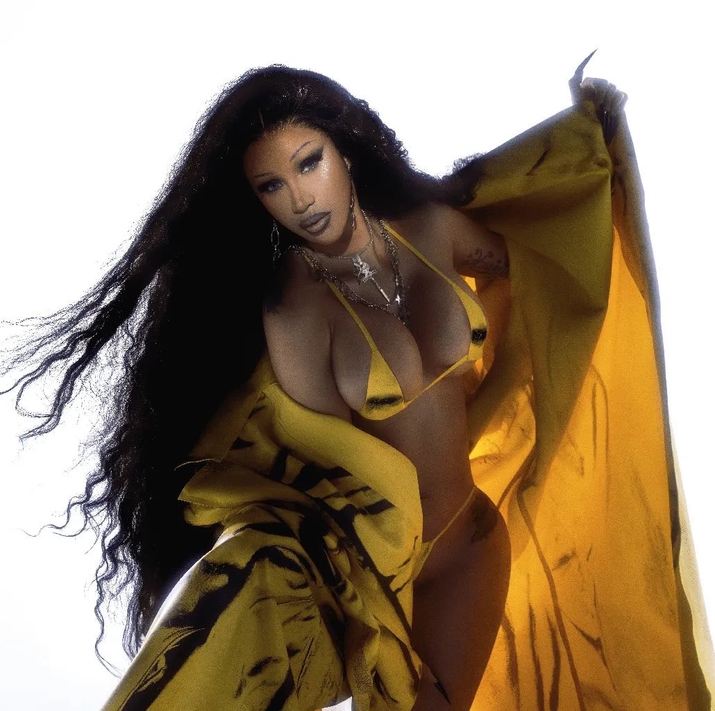Cardi B Don't Chart GTA VI (photo 2 of 2)