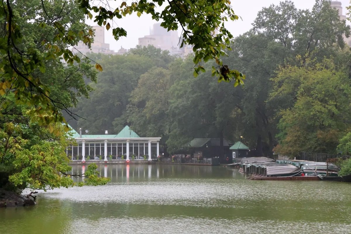 Central Park boathouse gazebo death (photo 4 of 4) Central Park boathouse gazebo death (photo 4 of 4)