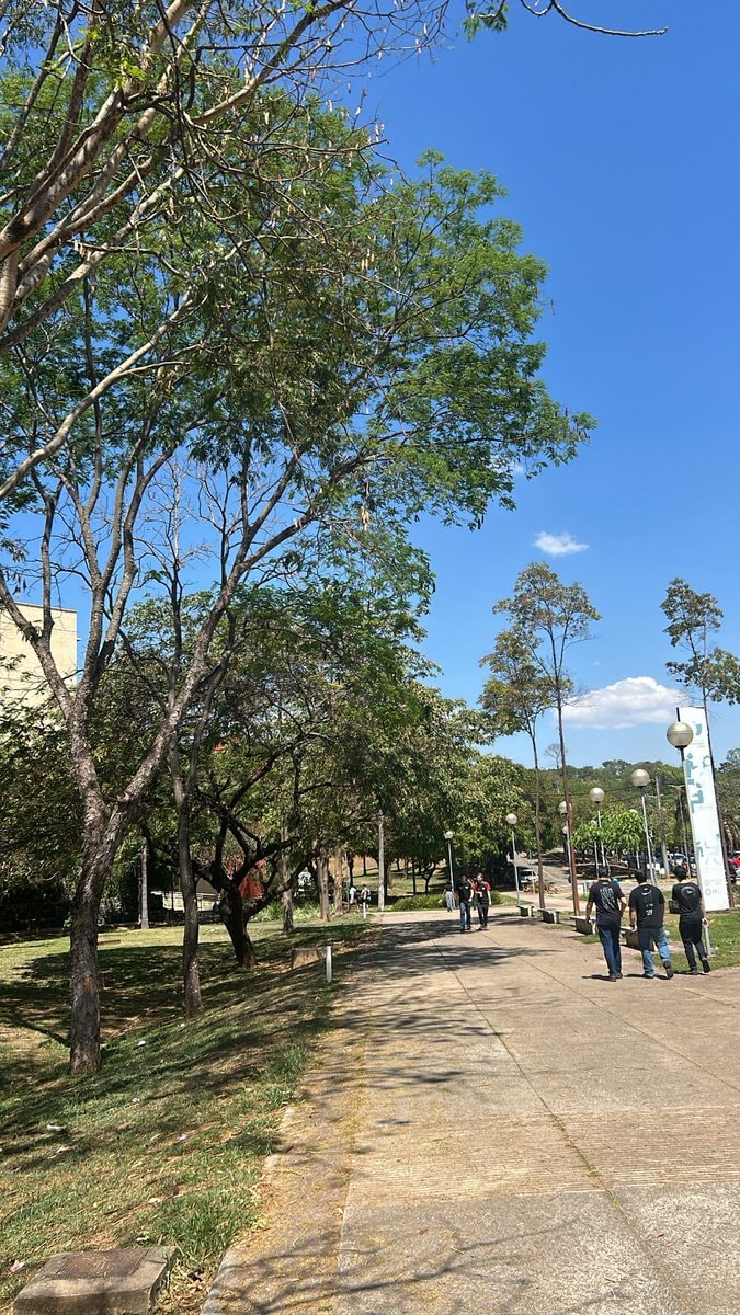 UFMG campus vibe