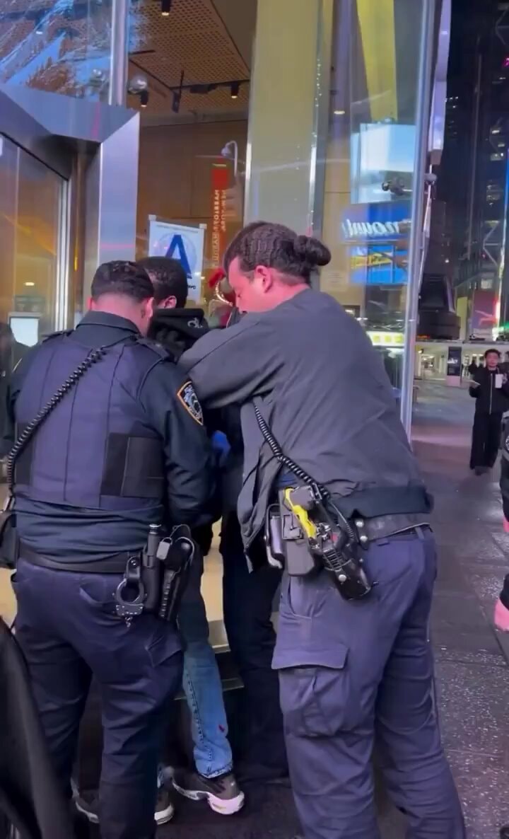 McDonald's riot arrest New York McDonald's riot arrest New York