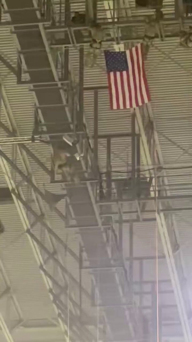Airman dies after rope incident