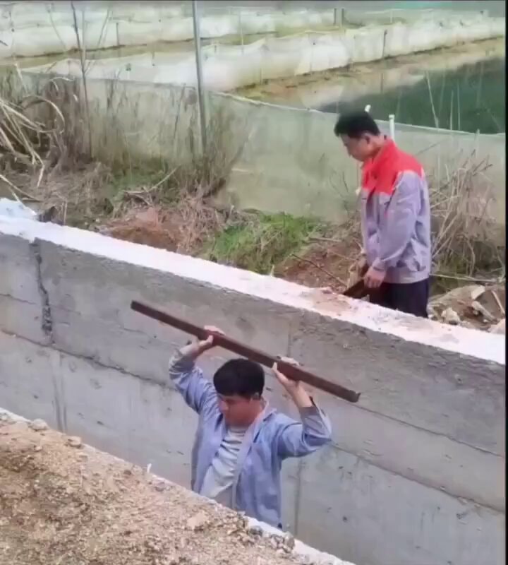 Da Vinci physics magic