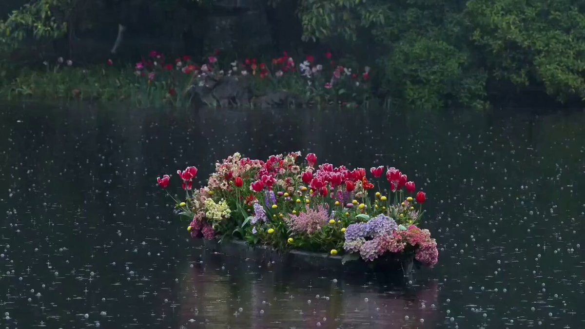 Boat filled with colorful flowers in the rain