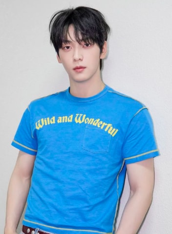 BigHit artist Wild and Wonderful shirt