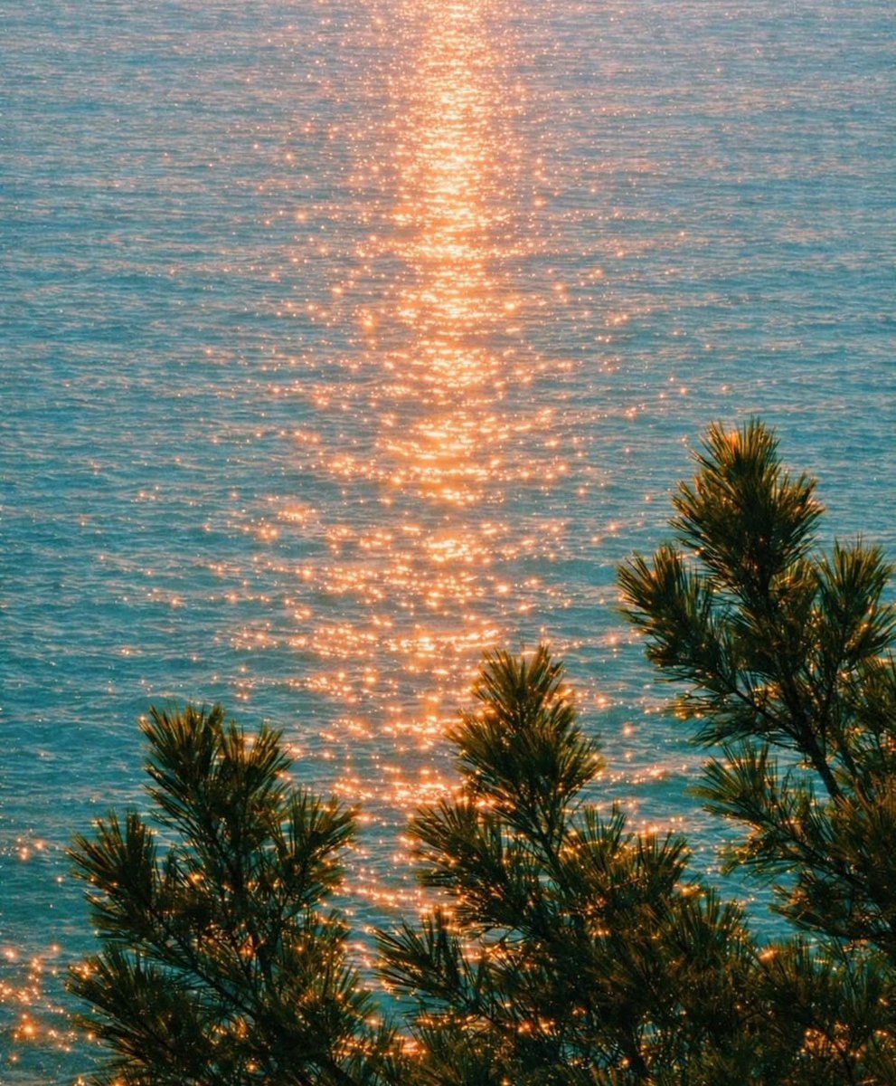 Golden hour sea view (photo 3 of 3)
