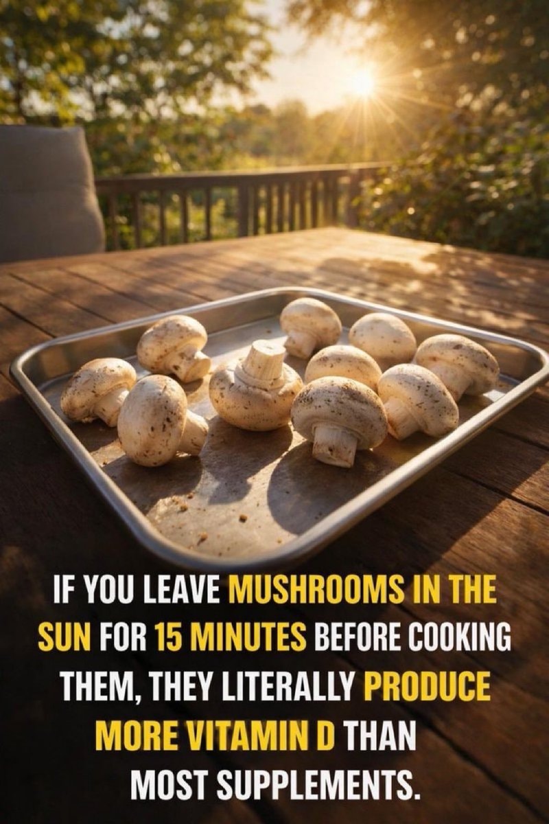 mushrooms make vitamin d from sunlight