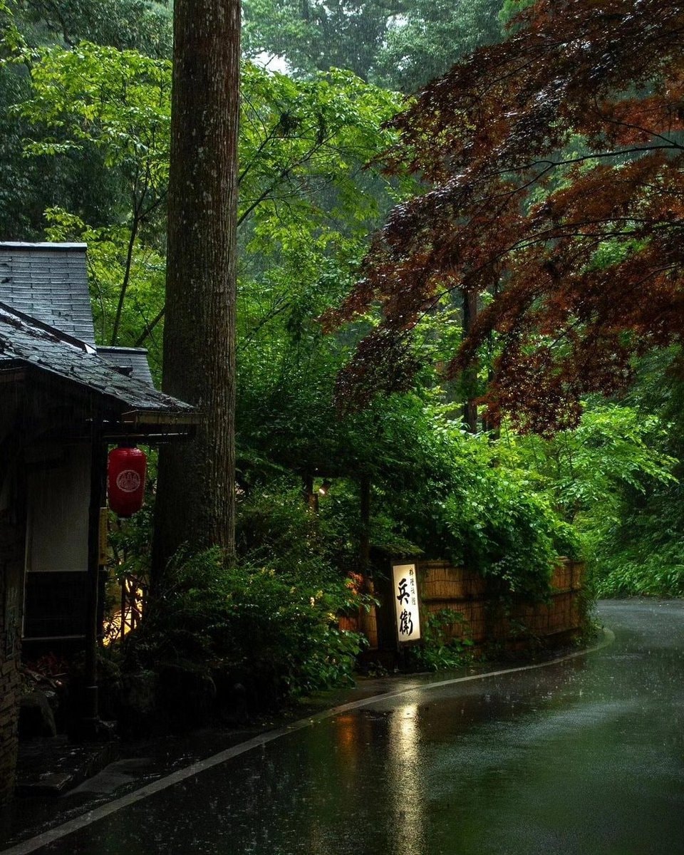 Kyoto Japan street scene (photo 3 of 4)