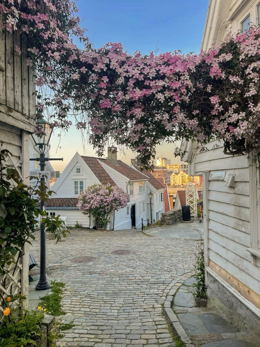 Stavanger Norway streets (photo 1 of 4)