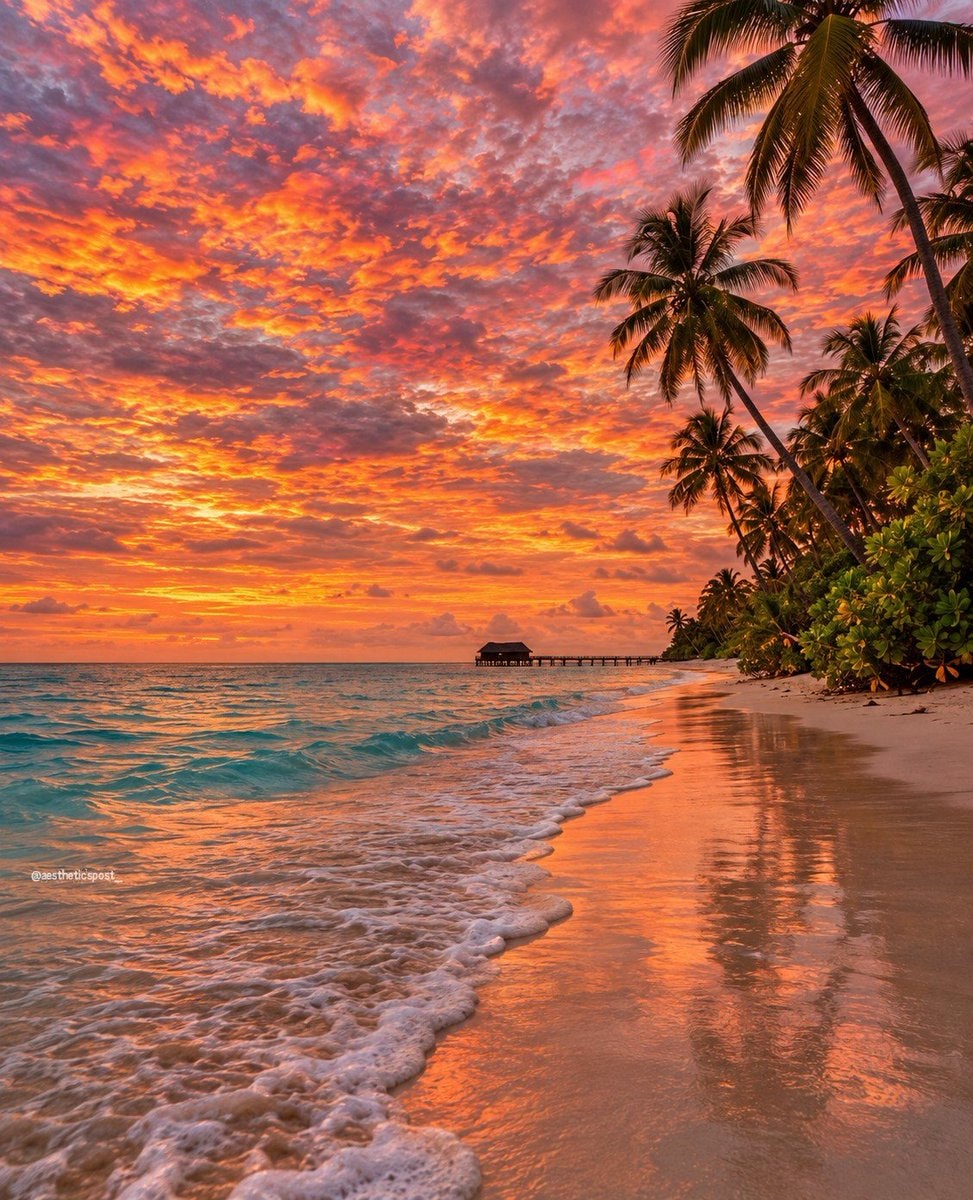 serene beach sunset serene beach sunset