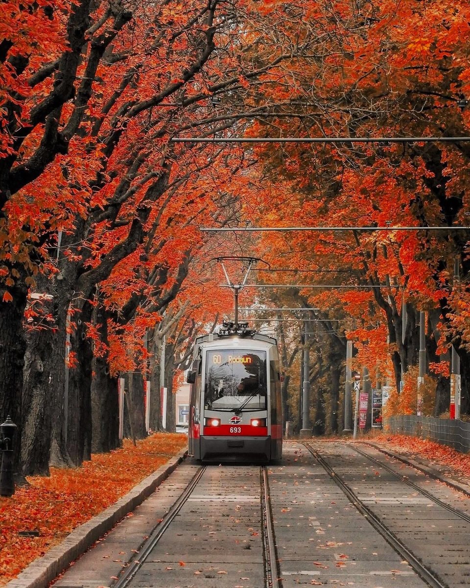 Vienna Austria autumn (photo 2 of 2)