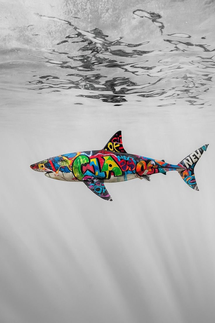 Shark Graffiti Art Concept