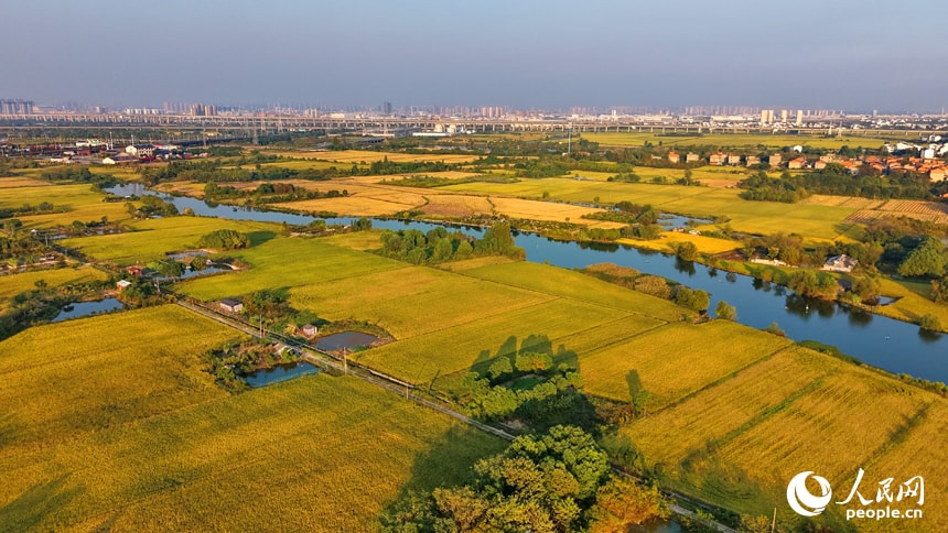 Tanshang rice fields in Nanchang County (photo 2 of 4)